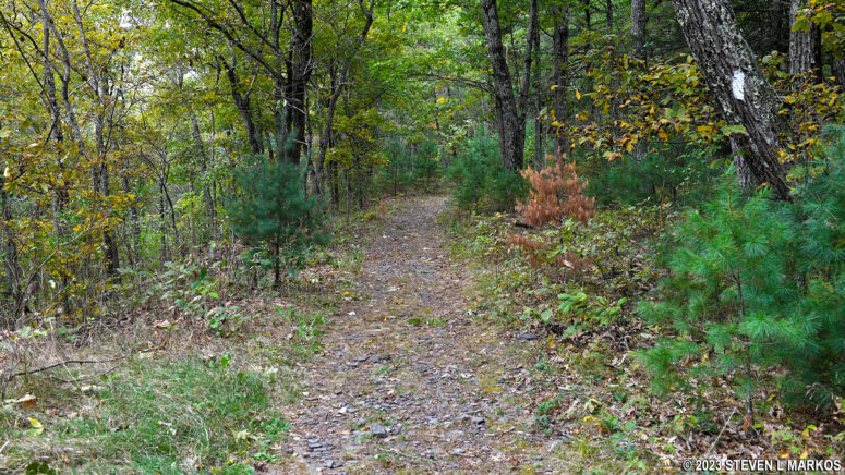 White blazes mark the Cliff Trail in Delaware Water Gap National Recreation Area