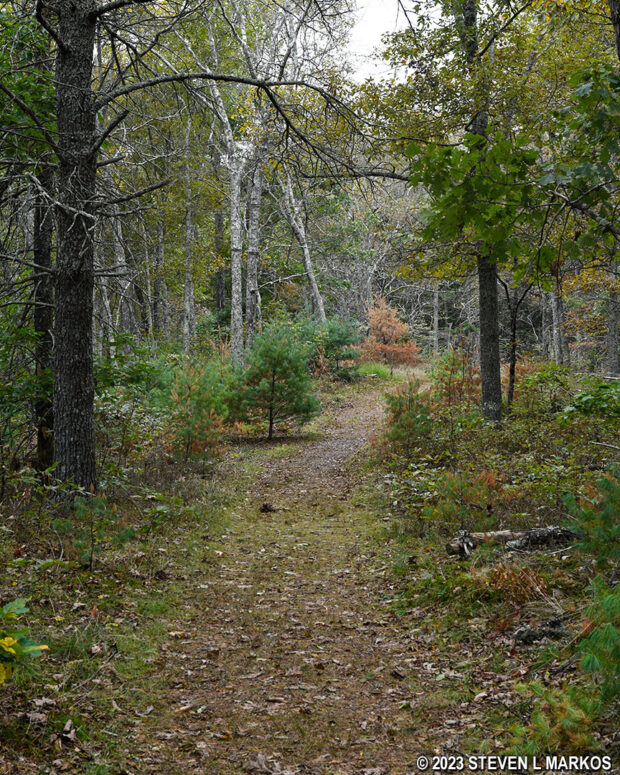 Typical terrain at the northeast end of the Cliff Trail in Delaware Water Gap National Recreation Area