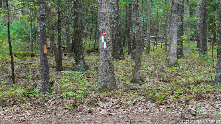 Unmarked intersection near the Cliff Trail / Quarry Path intersection, Delaware Water Gap National Recreation Area