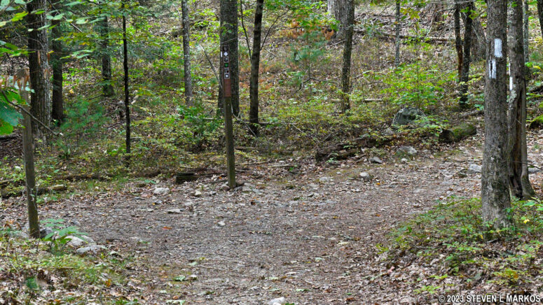 Intersection of the Cliff Trail and Quarry Path in the Cliff Park section of Delaware Water Gap National Recreation Area