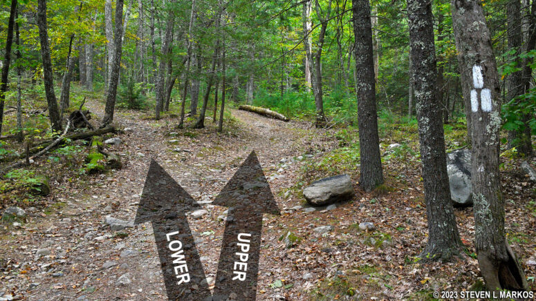 Upper and Lower Cliff Trails in the Cliff Park section of Delaware Water Gap National Recreation Area