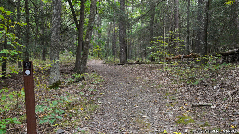 Typical terrain on Upper Cliff Trail in Delaware Water Gap National Recreation Area