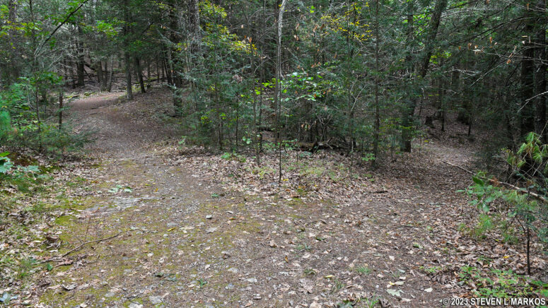 Shortcut (right fork) just before the official intersection of the Cliff Trail and the connector to the Pond Loop, Delaware Water Gap National Recreation Area