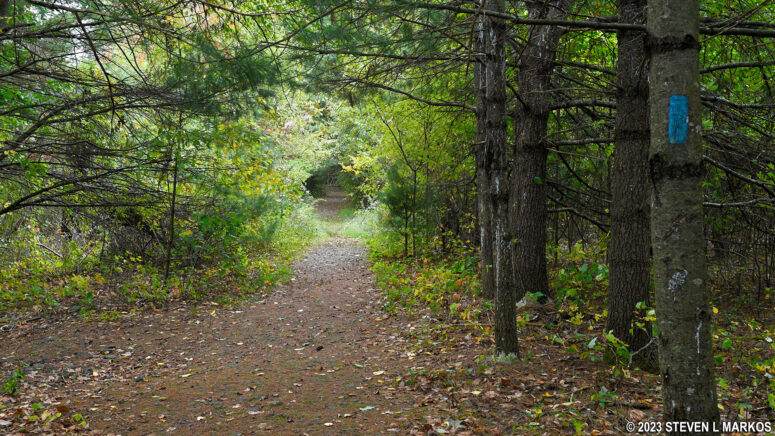 Typical terrain on the Pond Loop Trail in the Cliff Park section of Delaware Water Gap National Recreation Area