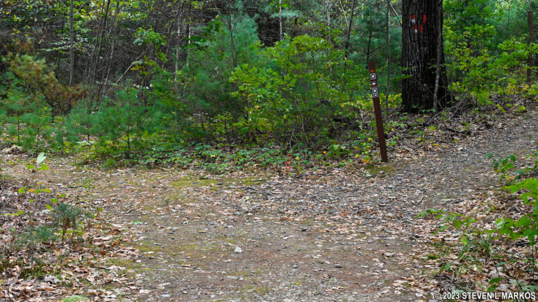 Intersection of the Buchanan Trail and connector to the Cliff Trail, Delaware Water Gap National Recreation Area