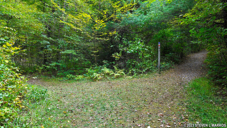 The Pond Loop and Buchanan trails diverge on the southeastern end of the Cliff Park pond, Delaware Water Gap National Recreation Area