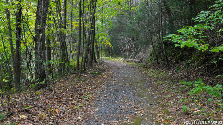 Typical terrain along the section of trail shared by the Pond Loop and Buchanan Trail in the Cliff Park section of Delaware Water Gap National Recreation Area