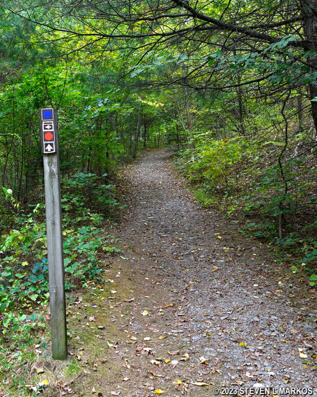 Buchanan Trail at the southeast intersection with the Pond Loop Trail, Delaware Water Gap National Recreation Area
