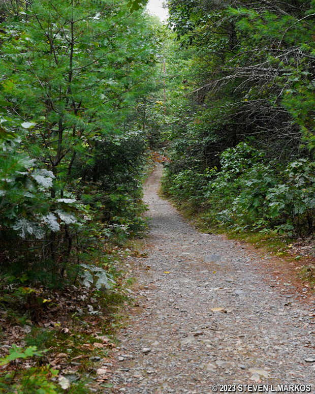 Typical terrain of the Buchanan Trail north of the Hackers Trail intersection, Delaware Water Gap National Recreation Area