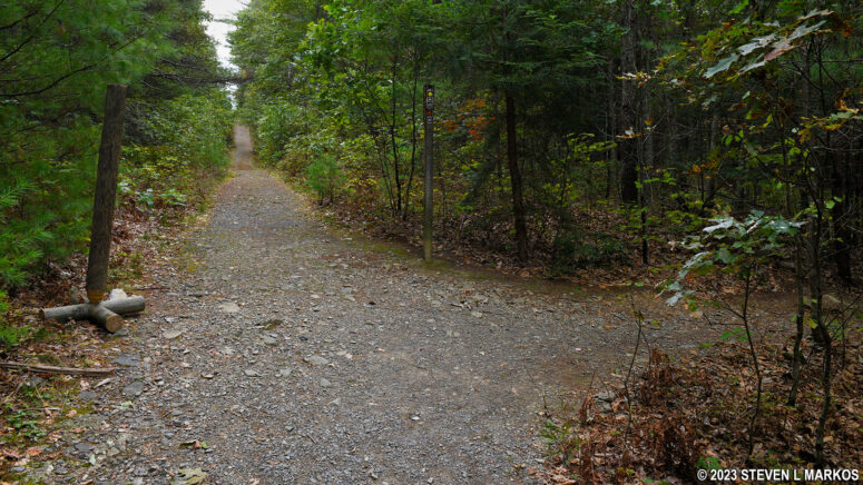 Intersection of the Buchanan and Hackers trails in the Cliff Park section of Delaware Water Gap National Recreation Area