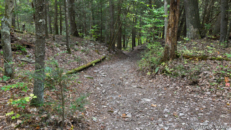 Intersection of the shortcut gully trail and the Hackers Trail at Delaware Water Gap National Recreation Area