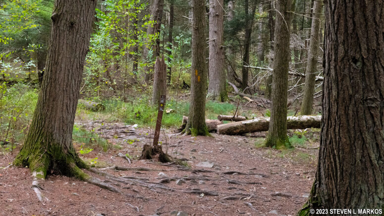 Typical terrain at the central section of the Hackers Trail in the Cliff Park section of Delaware Water Gap National Recreation Area