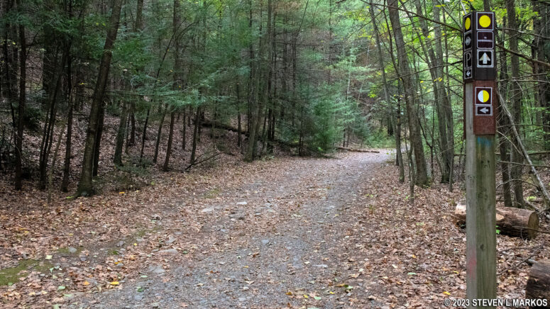 Trail post at the Hackers Trail-Loggers Path intersection, Delaware Water Gap National Recreation Area