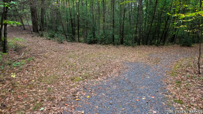Intersection of the Hackers Trail and an unmapped trail that leads to the Cliff Trail at Delaware Water Gap National Recreation Area