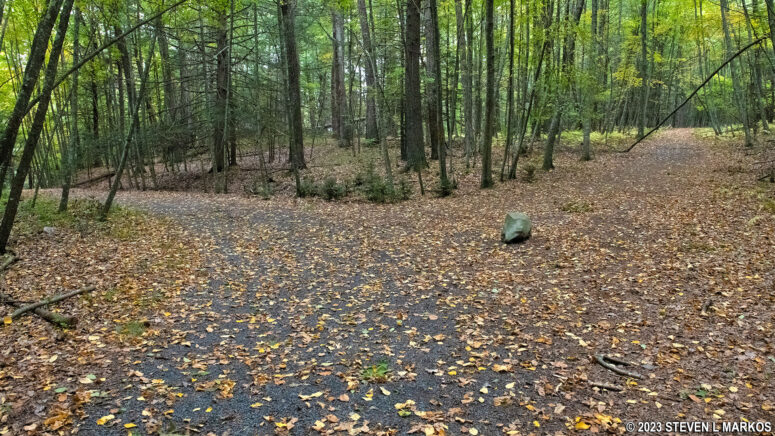 Intersection of the Hackers Trail and a sixth unmarked and unmapped trail in the Cliff Park section of Delaware Water Gap National Recreation Area