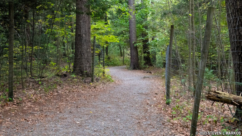 Typical terrain on the Raymondskill Falls Trail near the Hackers Trailhead parking lot, Delaware Water Gap National Recreation Area
