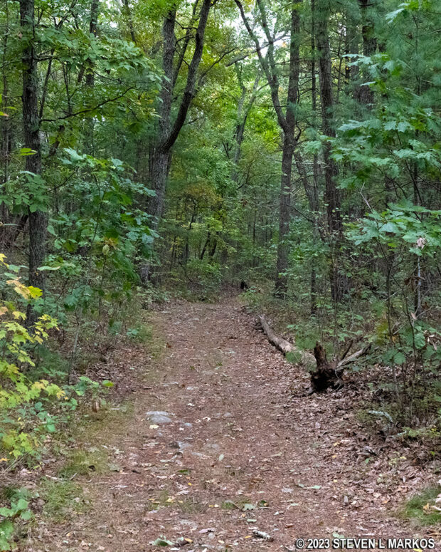 Terrain on the Upper Cliff Trail south of the Pond Loop Trail connector, Delaware Water Gap National Recreation Area