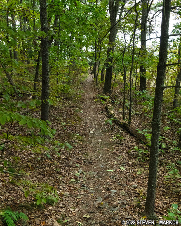 Typical terrain on the southern half of the lower Cliff Trail in Delaware Water Gap National Recreation Area