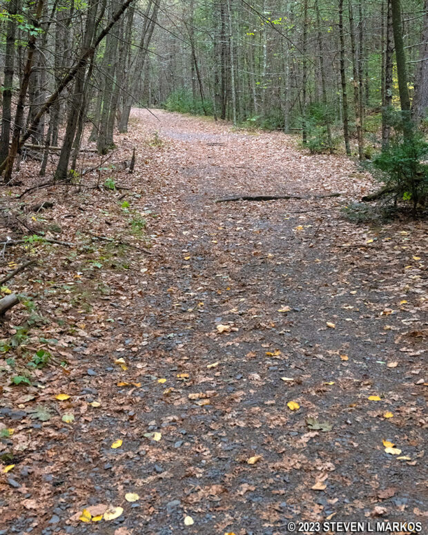 Steep terrain on the last .4 mile of the Cliff Trail before Raymondskill Road, Delaware Water Gap National Recreation Area