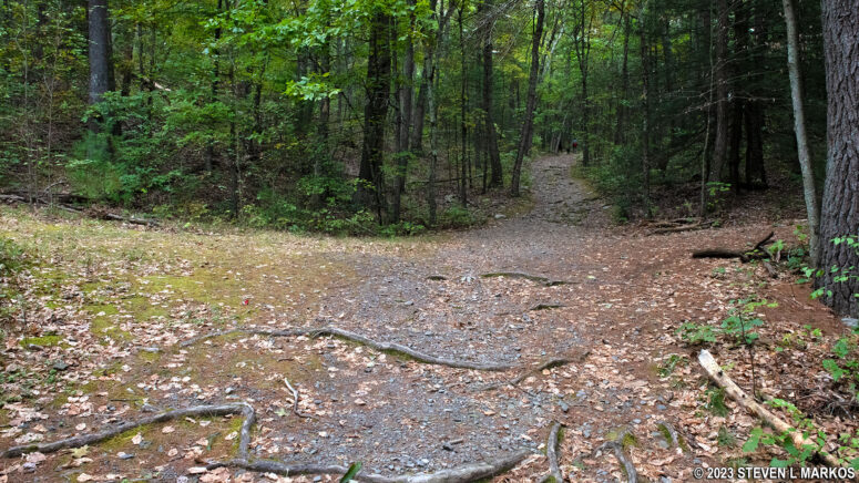Intersection of the upper Cliff Trail and a connector to the Hackers Trail (left) and lower Cliff Trail (right), Delaware Water Gap National Recreation Area