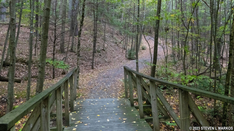 Footbridge over a small creek at the southern end of the Cliff Trail in Delaware Water Gap National Recreation Area