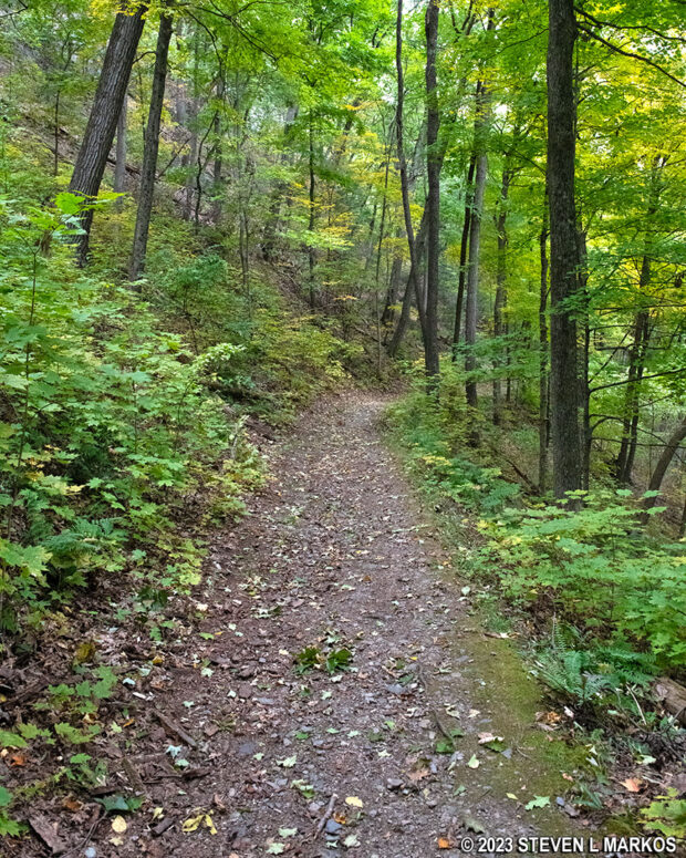 Typical terrain of the Quarry Path Trail at Delaware Water Gap National Recreation Area
