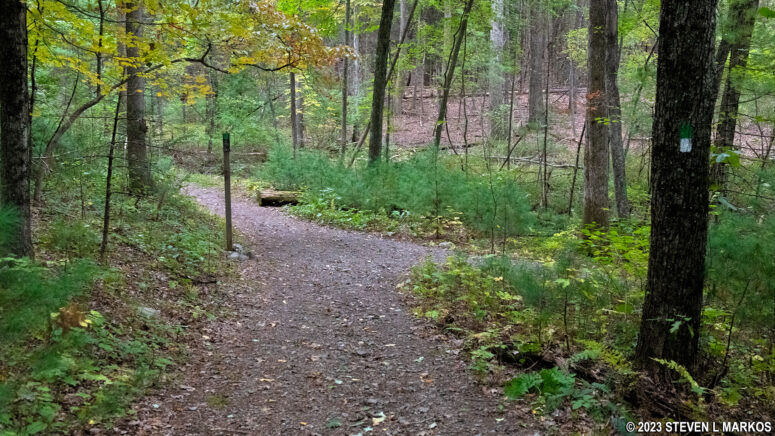 Intersection of the Quarry Path and Milford Knob Trail in Delaware Water Gap National Recreation Area
