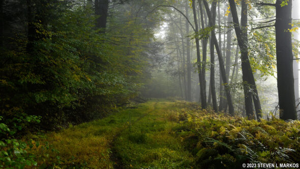 Conashaugh View Trail in Delaware Water Gap National Recreation Area