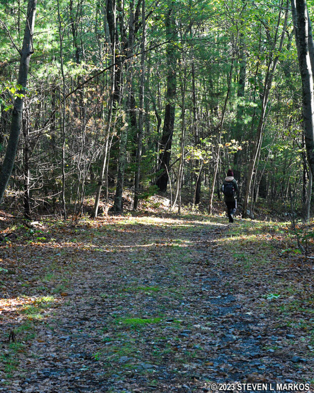 Typical terrain at the start of the Conashaugh View Trail in Delaware Water Gap National Recreation Area