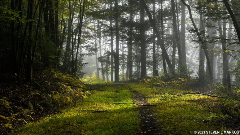 Zimmerman Road section of the Conashaugh View Trail at Delaware Water Gap National Recreation Area