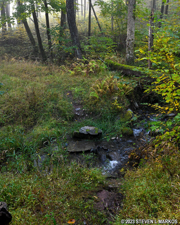 Stream crossing on the Zimmerman Road portion of the Conashaugh View Trail, Delaware Water Gap National Recreation Area