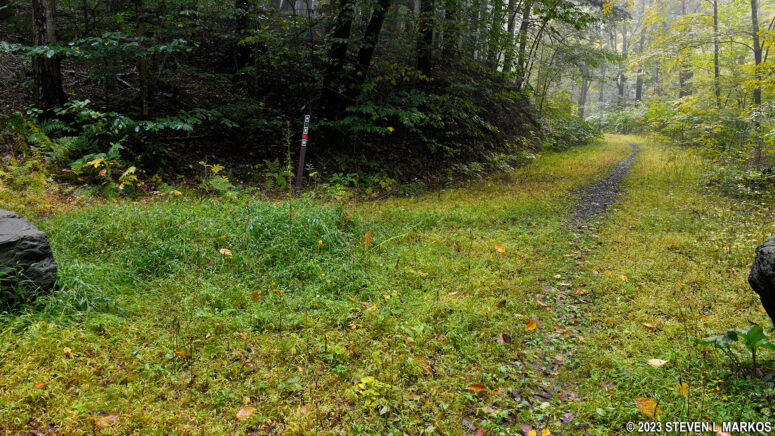 Start of the Conashaugh View Loop Trail on the north side of Zimmerman Road in Delaware Water Gap National Recreation Area