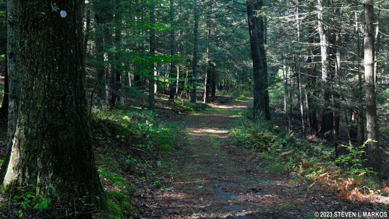 Level section of the Conashaugh View Loop Trail near the top of Pow Wow Hill, Delaware Water Gap National Recreation Area