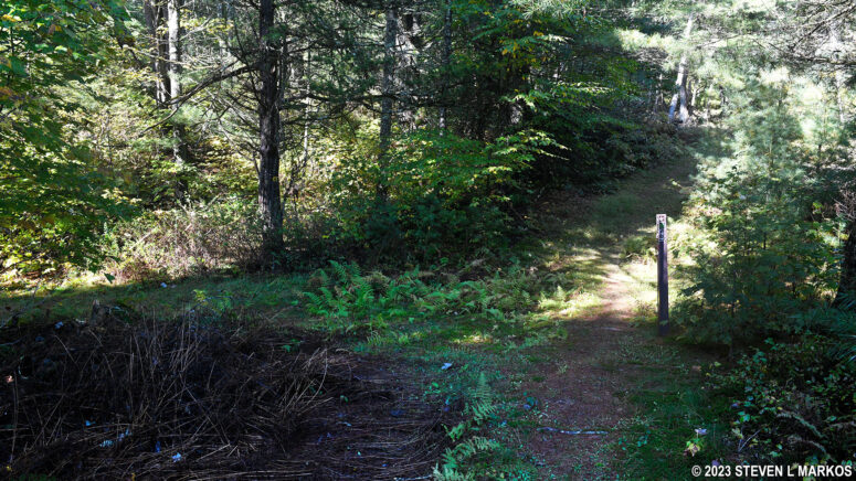 Start of the loop portion of the Conashaugh View Loop Trail in Delaware Water Gap National Recreation Area
