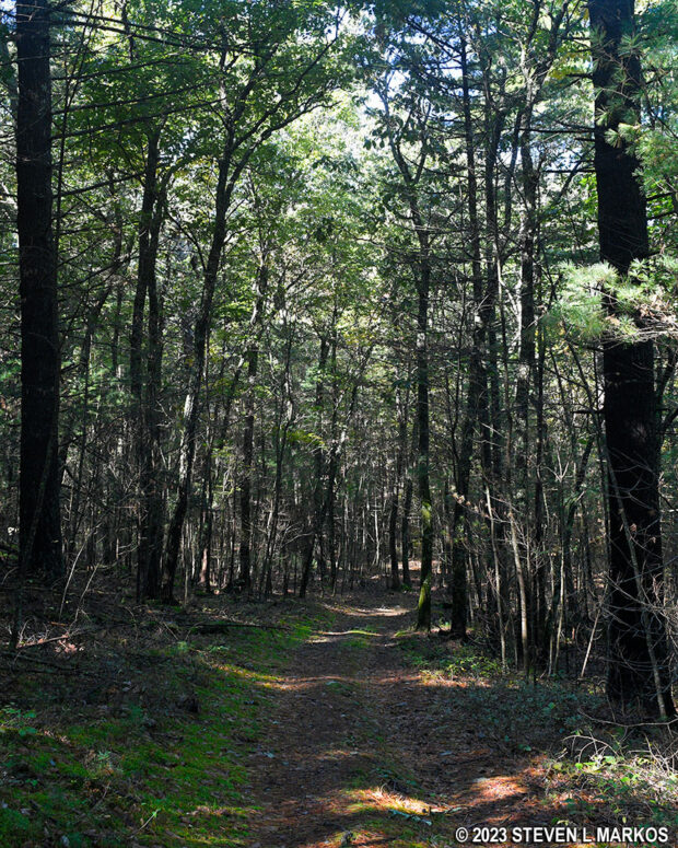 Typical terrain on the loop portion of the Conashaugh View Loop Trail in Delaware Water Gap National Recreation Area
