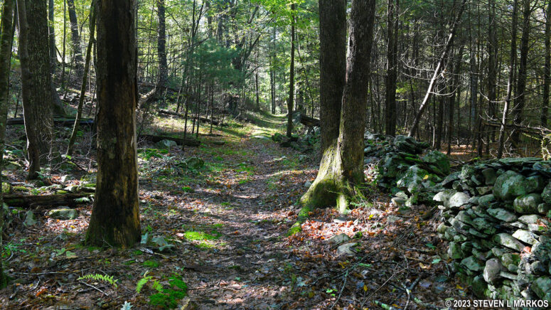 Stone fences on the southern end of the loop portion of the Conashaugh View Loop Trail in Delaware Water Gap National Recreation Area