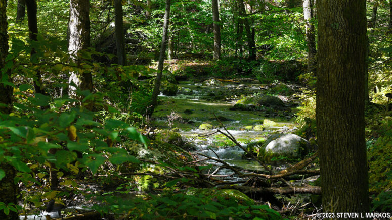 The Zimmerman Road section of the Conashaugh View Trail south of the turnoff for the loop hike follows Conashaugh Creek, Delaware Water Gap National Recreation Area