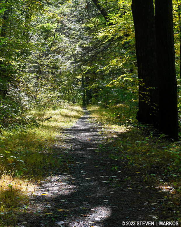 Typical terrain on Zimmerman Road south of the turnoff for the loop portion of the Conashaugh View Trail, Delaware Water Gap National Recreation Area