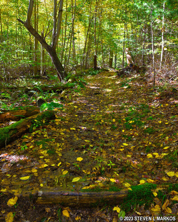 Hilly terrain on the Conashaugh View Trail near the Zimmermann Farm in Delaware Water Gap National Recreation Area