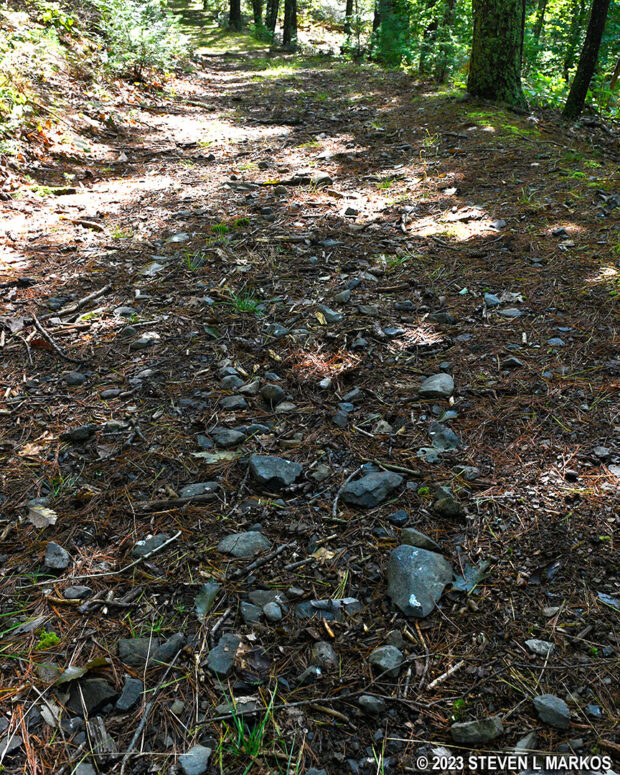 Rocky section of the Conashaugh View Trail near the Zimmermann Farm in Delaware Water Gap National Recreation Area