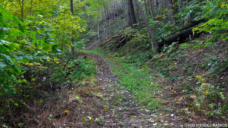 Hilly terrain of the Conashaugh View Trail between the Zimmermann Farm and Conashaugh Road, Delaware Water Gap National Recreation Area
