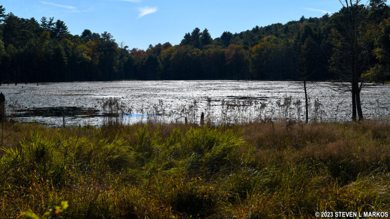 Small lake at the south end of the Conashaugh View Trail near Conashaugh Road, Delaware Water Gap National Recreation Area