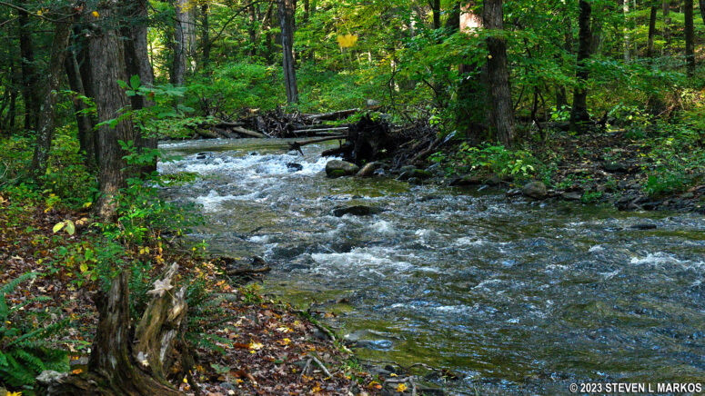 Hornbecks Creek in Delaware Water Gap National Recreation Area