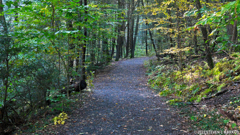 Hilly terrain on the Lower Hornbecks Creek Trail in Delaware Water Gap National Recreation Area