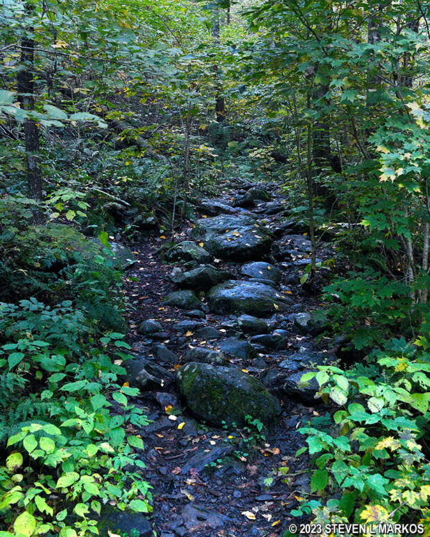 Rocky section of the Lower Hornbecks Creek Trail right before Lower Indian Ladders, a waterfall within Delaware Water Gap National Recreation Area