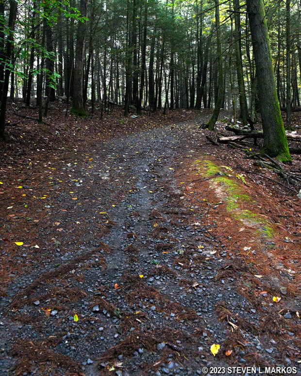 Terrain at the start of the McDade Trail near Milford Beach, Delaware Water Gap National Recreation Area