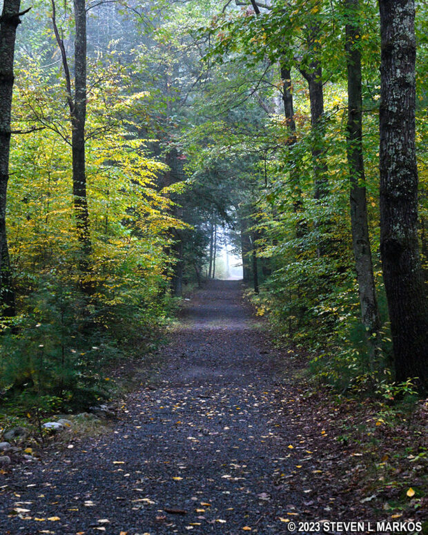 Level section of the McDade Trail between the Milford Beach and Pittman Orchard parking lots in Delaware Water Gap National Recreation Area