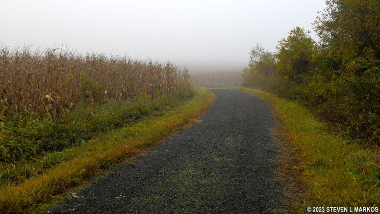 Corn field along the McDade Trail between the Milford Beach and Pittman Orchard parking lots in Delaware Water Gap National Recreation Area