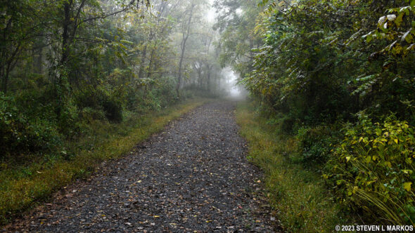McDade Trail between the Milford Beach and Pittman Orchard parking areas in Delaware Water Gap National Recreation Area