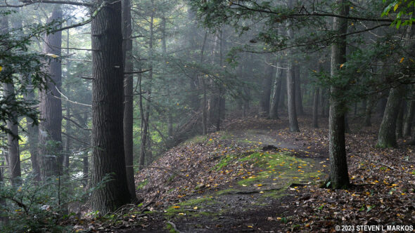 Hikers-only section of the McDade Recreational Trail between the Pittman Orchard and Conashaugh parking lots in Delaware Water Gap National Recreation Area